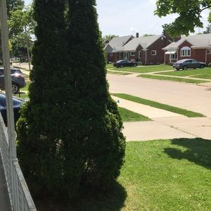 Meet your Posher, Al